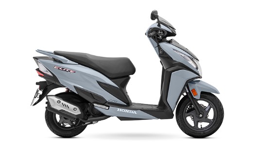 elite gris